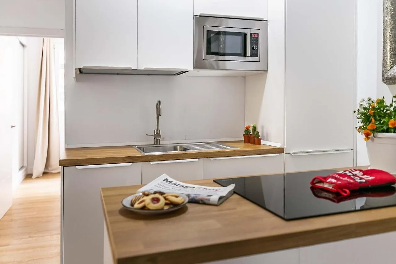 Premium Soho Malaga Apartment